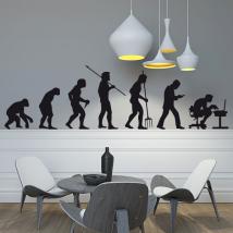 Vinilo Decorativo Evolución