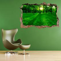 Vinilo 3D Hueco Pared Parque