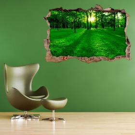 Vinilo 3D Hueco Pared Parque