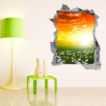 Vinilos 3D Flores Margaritas Blancas