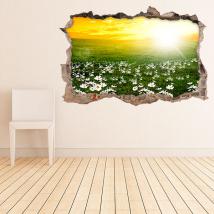 Vinilo 3D Pared Flores Margaritas Blancas