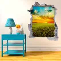 Vinilo 3D Pared Puesta de Sol En El Campo