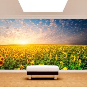 Fotomurales Girasoles