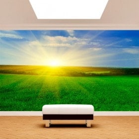 Fotomurales Sol En El Horizonte