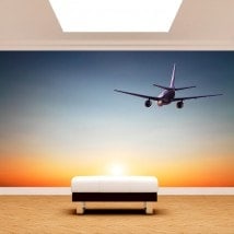Fotomurales Avión Atardecer