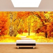 Fotomural Camino Y Árboles Otoño