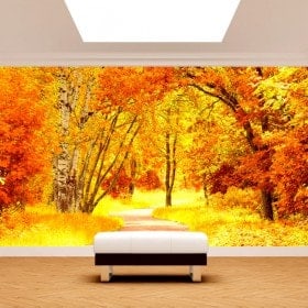 Fotomural Camino Y Árboles Otoño