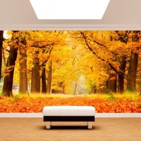 Fotomurales Árboles Otoño