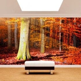 Fotomural &Aacute;rboles Oto&ntilde;o
