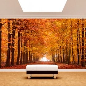 Fotomurales Camino Y Árboles Otoño
