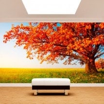Fotomural Árbol Otoño