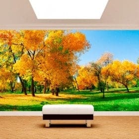 Fotomurales &Aacute;rboles En El Campo