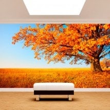 Fotomurales Árbol Otoño