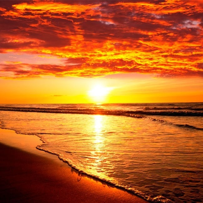 My Image 33