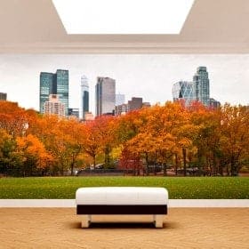 Fotomurales Paredes Central Park Nueva York