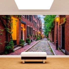 Fotomurales Boston Calles