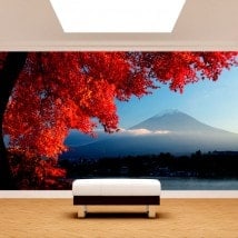 Fotomurales Paredes Monte Fuji