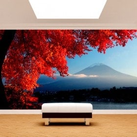 Fotomurales Paredes Monte Fuji