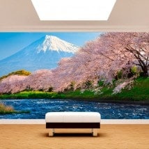 Fotomurales Monte Fuji Árboles Flor De Cerezo