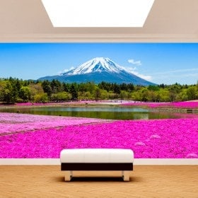 Fotomurales Jardines Flores Rosas Monte Fuji