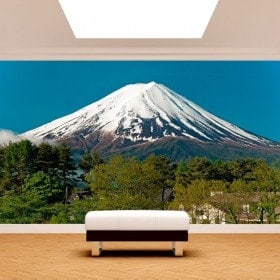 Fotomurales Monte Fuji