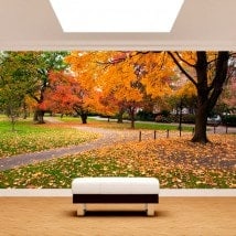 Fotomurales Parque En Boston