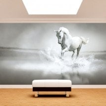 Fotomural Caballo Blanco