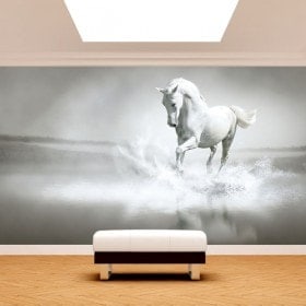 Fotomural Caballo Blanco