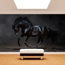 Fotomural Caballo Negro