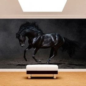 Fotomural Caballo Negro