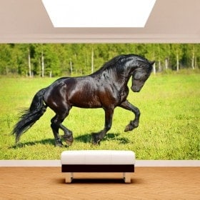 Fotomural Pared Caballo En El Campo