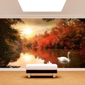 Fotomurales Cisne En El Lago