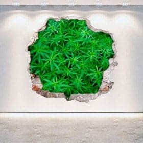 Vinilos Marihuana Agujero Pared 3D