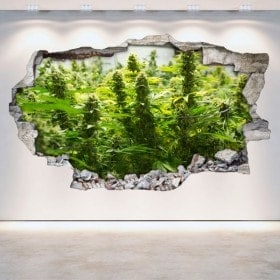 Vinilos Cannabis Pared Rota 3D