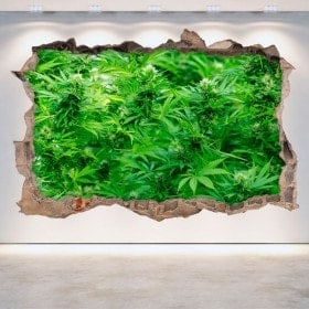 Vinilos Pared Rota Marihuana 3D