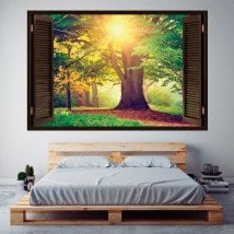 Ventana 3D Árbol En El Bosque