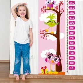 Vinilos Medidores Infantiles Días Rosas