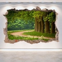 Vinilos 3D Paredes Camino Y Árboles