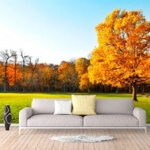 Fotomural Árboles En Otoño