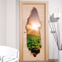 Vinilos De Puertas Atardecer En El Viñedo 3D
