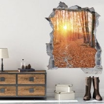 Vinilos 3D Atardecer En El Bosque