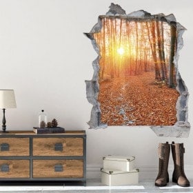 Vinilos 3D Atardecer En El Bosque