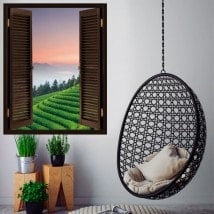 Ventanas En Vinilos 3D Plantación Té