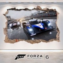 VInilos 3D Forza Motorsport 6