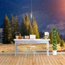 Fotomurales Pinos En La Naturaleza