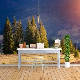 Fotomurales Pinos En La Naturaleza