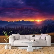 Fotomurales Atardecer En La Naturaleza