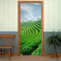 Pegatinas Para Puertas Plantación De Té