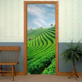 Pegatinas Para Puertas Plantación De Té