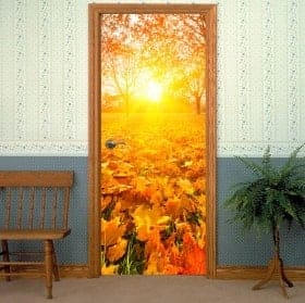 Vinilos para puertas atardecer en Oto&ntilde;o